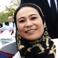 National Telecommunications Regulatory Authority (NTRA) of Egypt Employee Dina Emara's profile photo