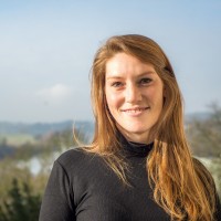 Rosa de Witte Email
