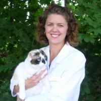 Jennifer Derstine-Groeber Email & Phone Number