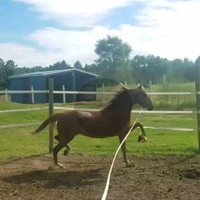JMS Employee Jenni Lott's profile photo