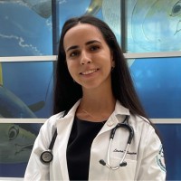 Laura Lincheta Email