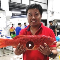 WEBUY Employee Vincent bin's profile photo