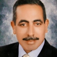 Shebl Wafa Email