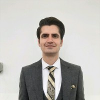 Domus Group Employee Majid Osati's profile photo