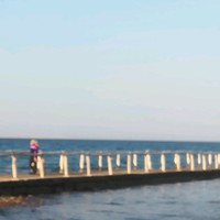 Incheba Employee Jana Cholvadova's profile photo