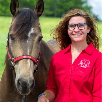 Lindsey Celesky Email & Phone Number