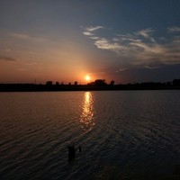 Transport Distribution Company Employee Randy Oakes's profile photo