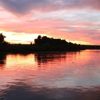 Maurizio Primiani Email & Phone Number