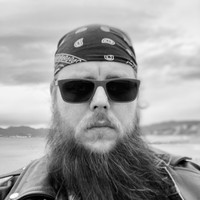 Vlad Verestiuc Email & Phone Number