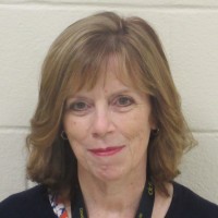 Developmental Disabilities Institute (DDI) Employee Joyce Sullivan's profile photo