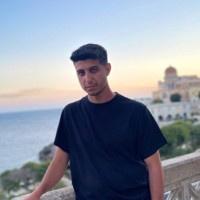 George Ionescu Email