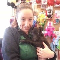 Village Vet Employee Ashley Griffiths's profile photo