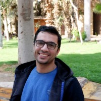 Amiral Management Corporation Employee Mahmoud Lashin's profile photo