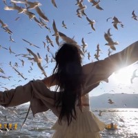 P B Email & Phone Number