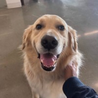 Poppin Employee Bisou S's profile photo
