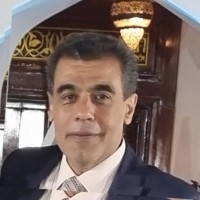 SILVER WOLF Employee Medhat Enab's profile photo