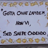 CONCESSIONARIA AUTO Employee Mauro Savoia's profile photo