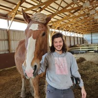 United Wholesale Mortgage Employee Noah Greco's profile photo
