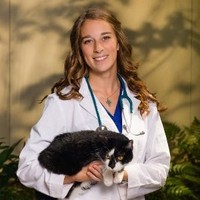 Animal Medical Clinic Employee Katharine Kehrt's profile photo