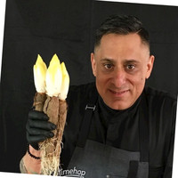 Andaz Scottsdale Resort & Bungalows Employee Sam Demarco's profile photo