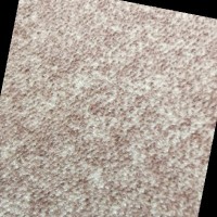 Startups Employee ShiZhe Jiang's profile photo