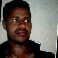 Yenework Mulugeta Email