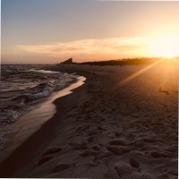 Urban Sanctuary Employee Edward Heath's profile photo