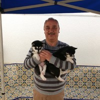 Nouvelair Tunisie Employee Karim Dahmani's profile photo