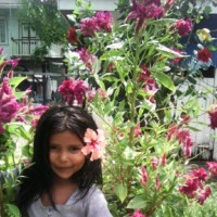 Propper Manufacturing Company, Inc. Employee Dolly Singh's profile photo