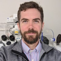 Andrew Woolley Email & Phone Number