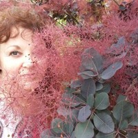 ABC Company Employee Deborah Goorey's profile photo