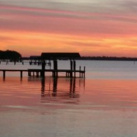 Brenda Watkins Email & Phone Number