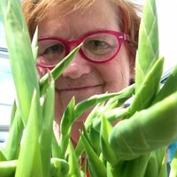 Carolyn Nicholls Email