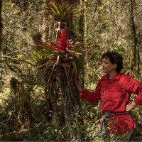 Grupo Ecológico Sierra Gorda I.A.P. Employee Laura P. Burke Pérez-Arce's profile photo