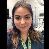 Selin Sevinç Email