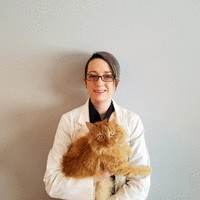 RELIEF VETERINARIAN Employee Casey Levine's profile photo