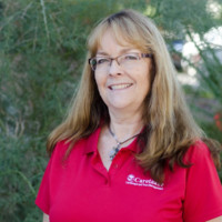 Debbie Cook Email & Phone Number