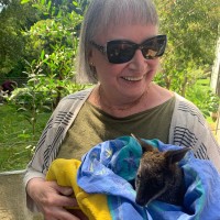 Acoustical Society of America Employee Susan Fox's profile photo