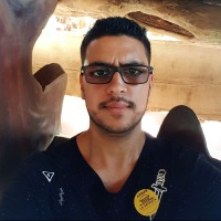 Fernando Martins de Freitas Email