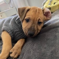 Mark Richards Email & Phone Number