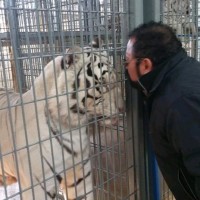 Continental Wireless, Inc Employee Miguel Leyva's profile photo