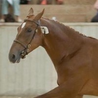 Charles Lettes Employee Camilla Thomas's profile photo