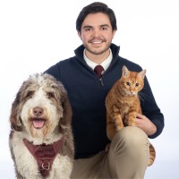 Daniel Vargas Email & Phone Number