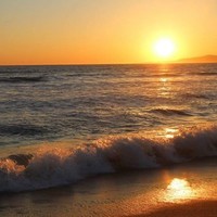 Nankind Employee Darlene Foutner's profile photo