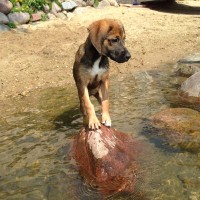 LD Redmer Screw Products Employee Jack Joyce's profile photo