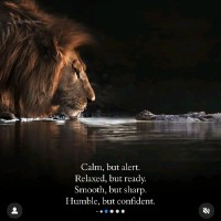 Responsive Techno Pvt.Ltd Employee Sushant Mehrana's profile photo