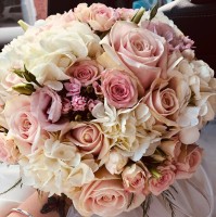 Three Joes Employee Courtney Gray's profile photo