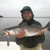 Toadfish Employee Casey Davidson's profile photo