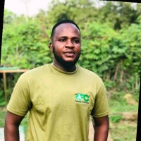 3T Employee George Appiah's profile photo