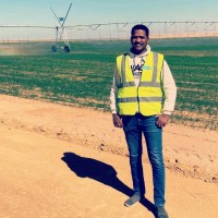 Master Group Employee Mohsen Abdelwhab's profile photo